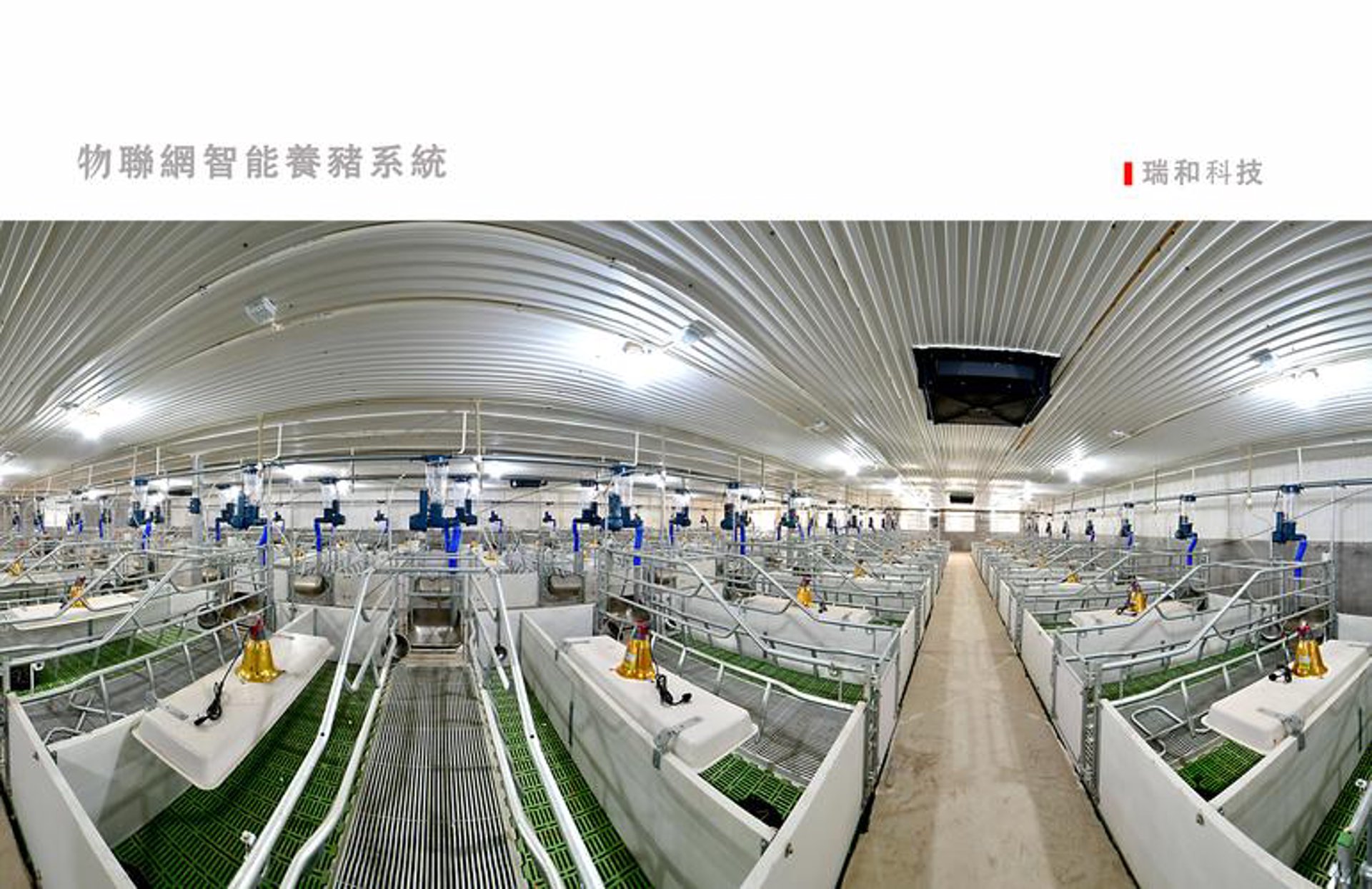 哈旺动牛农业
